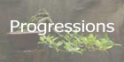 Progression